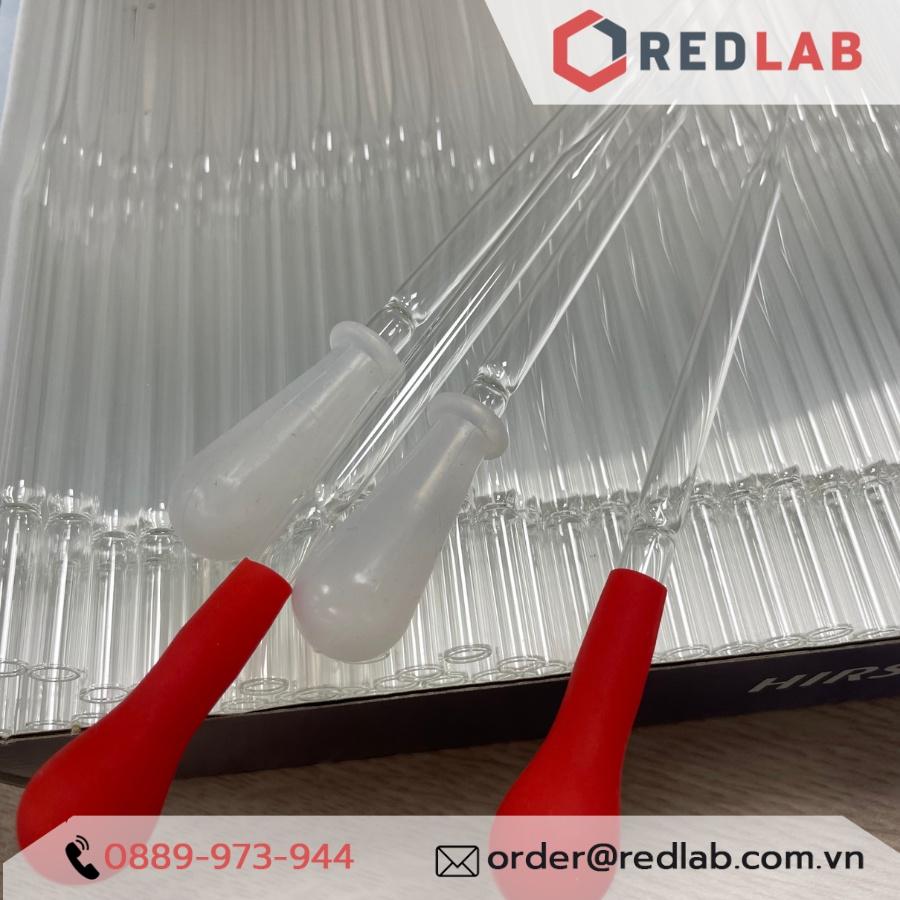 Combo Pipet Paster Thủy Tinh 15cm 23cm và Quả bóp Cao su / Silicon đi kèm