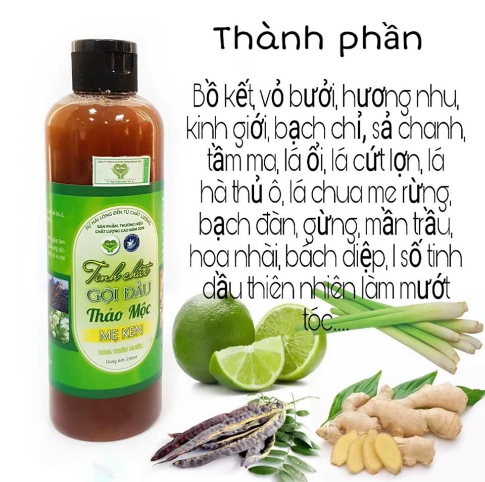 TINH CHẤT GỘI ĐẦU THẢO MỘC MẸ KEN - Chai 500ML MẪU MỚI