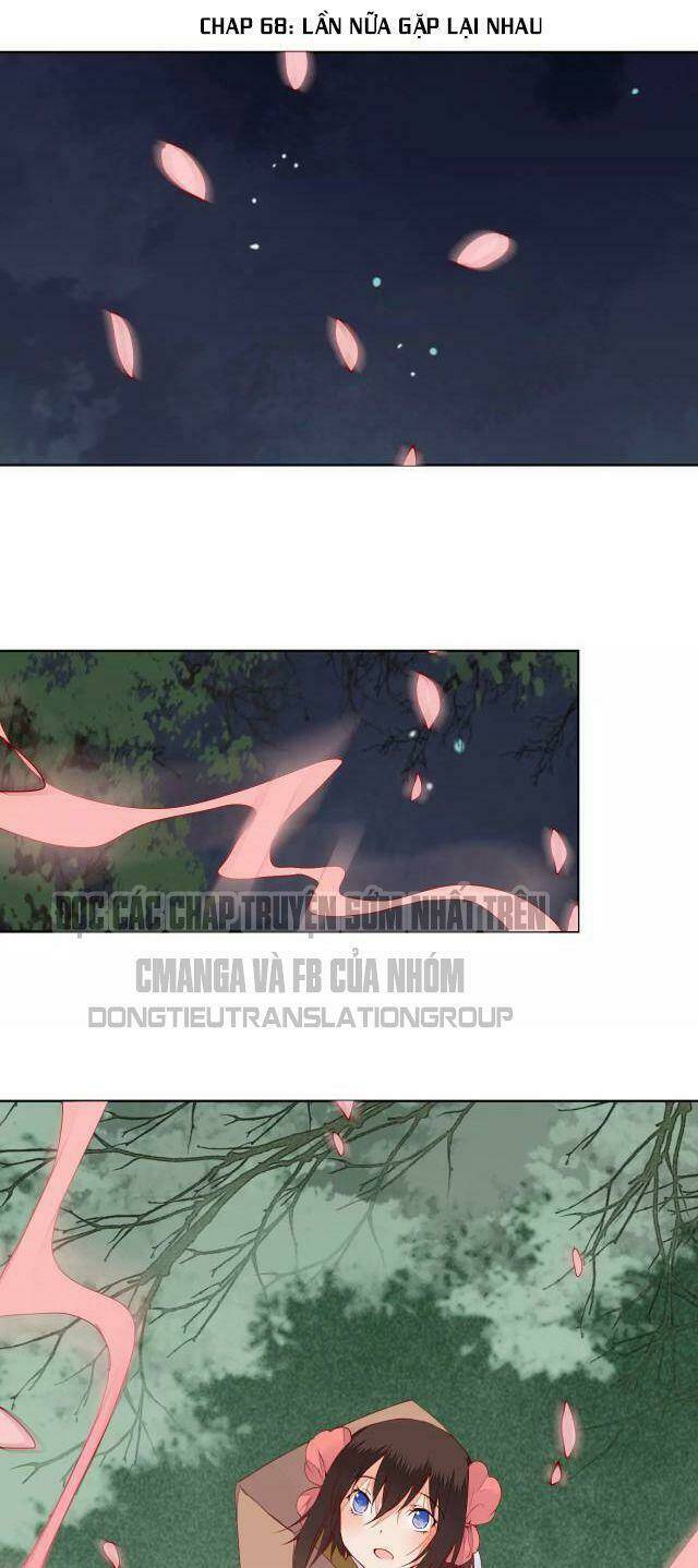 đốt đào hoa chapter 68 2