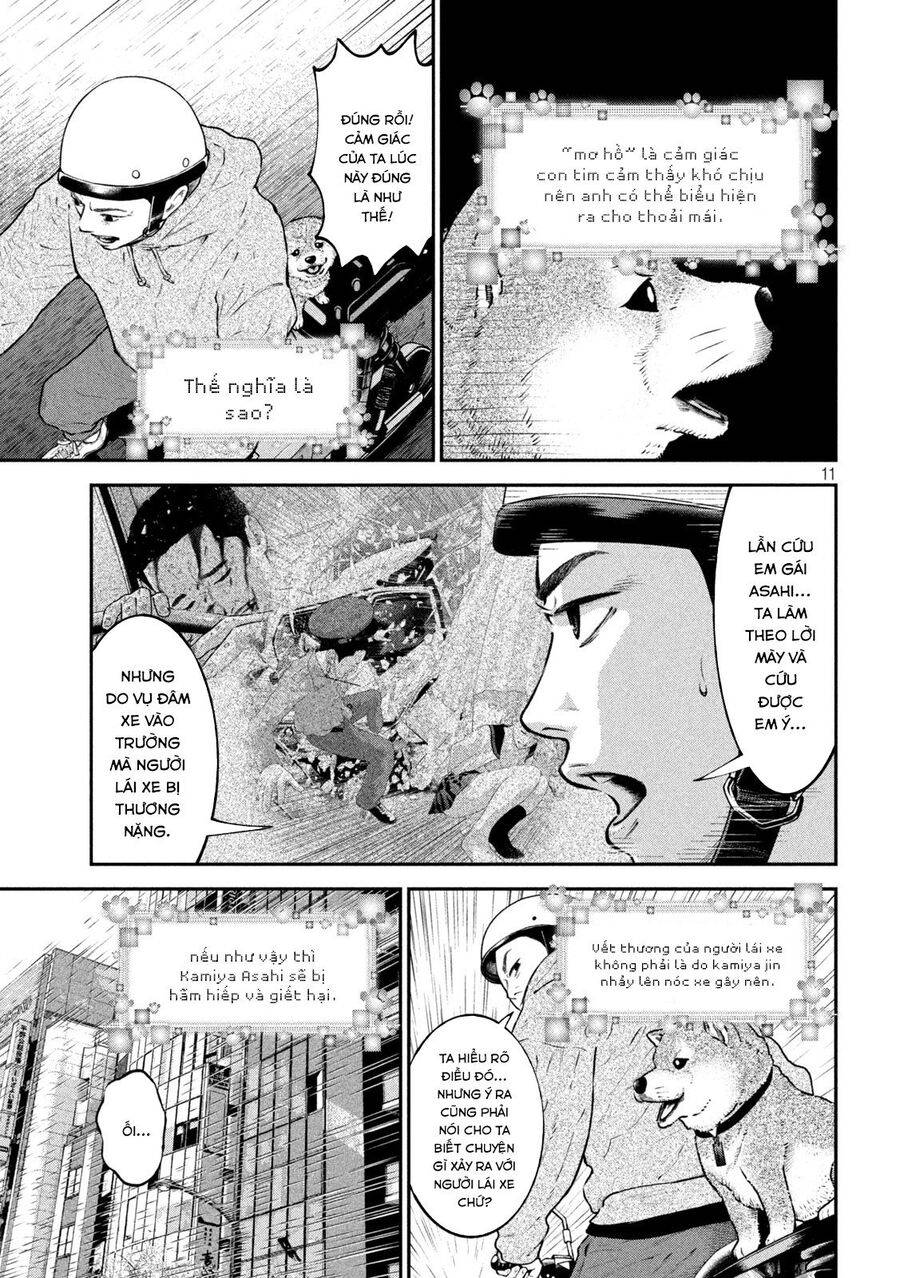 mật danh: nostra chapter 16 11