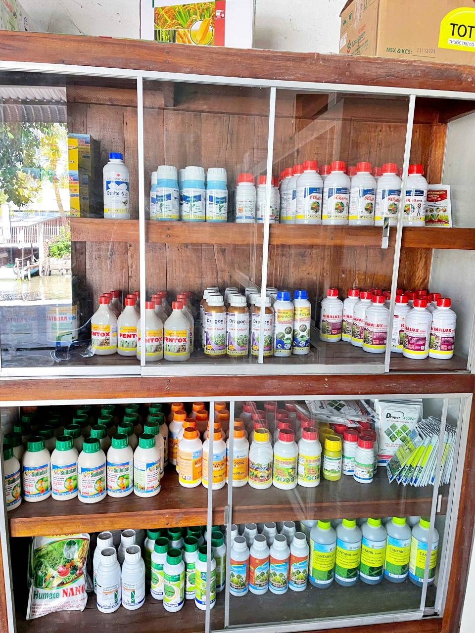 Phân bón vi lượng Viên Sủi YMC viên 7gr - Phì trái hết cỡ - lớn trái tối đa - chống nứt trái - tẩy ghẻ lên màu trái cực đẹp