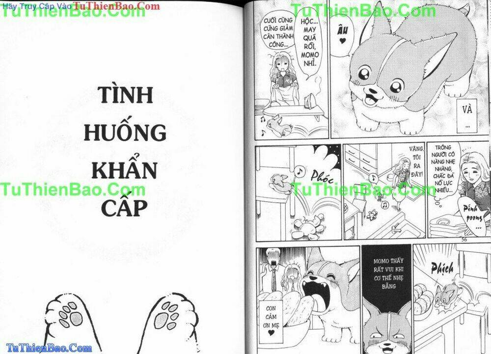 chó con mo mo chapter 3 30