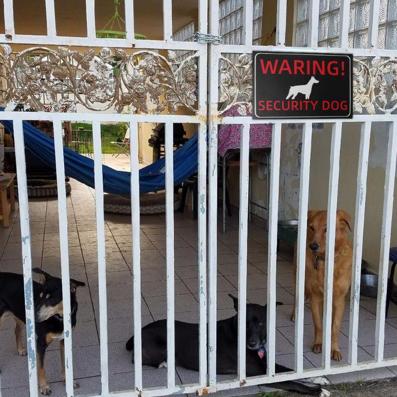 HSV Indoor Outdoor Adhesive Warning Security Dog Beware of Dog Sign Gates Stickers