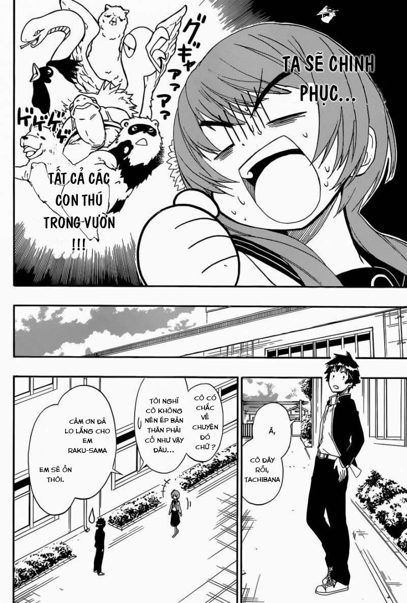 nisekoi - tình yêu giả tạo chapter 142 2