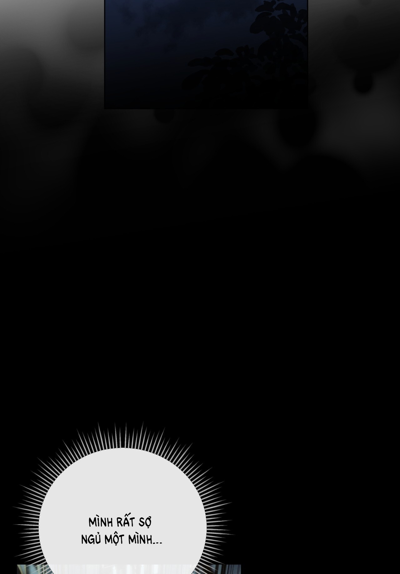 hợp đồng hôn nhân với hai người chồng chapter 9.2 47