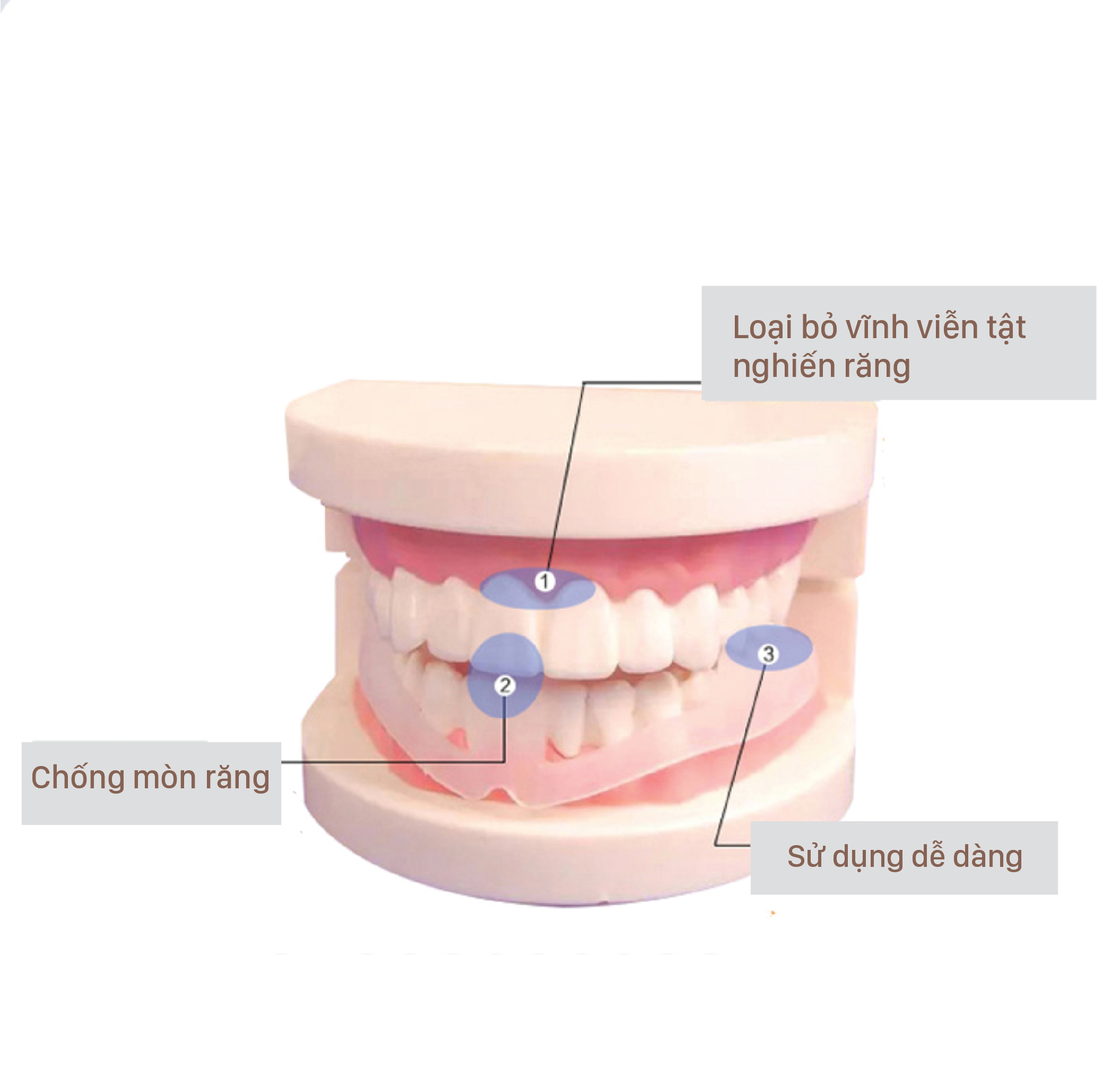 DỤNG CỤ CHO NGƯỜI NGHIẾN RĂNG chăm sóc răng miệng, bảo vệ răng, kỹ thuật của Nhật SP1 (Loại bỏ tật nghiến răng khi ngủ )