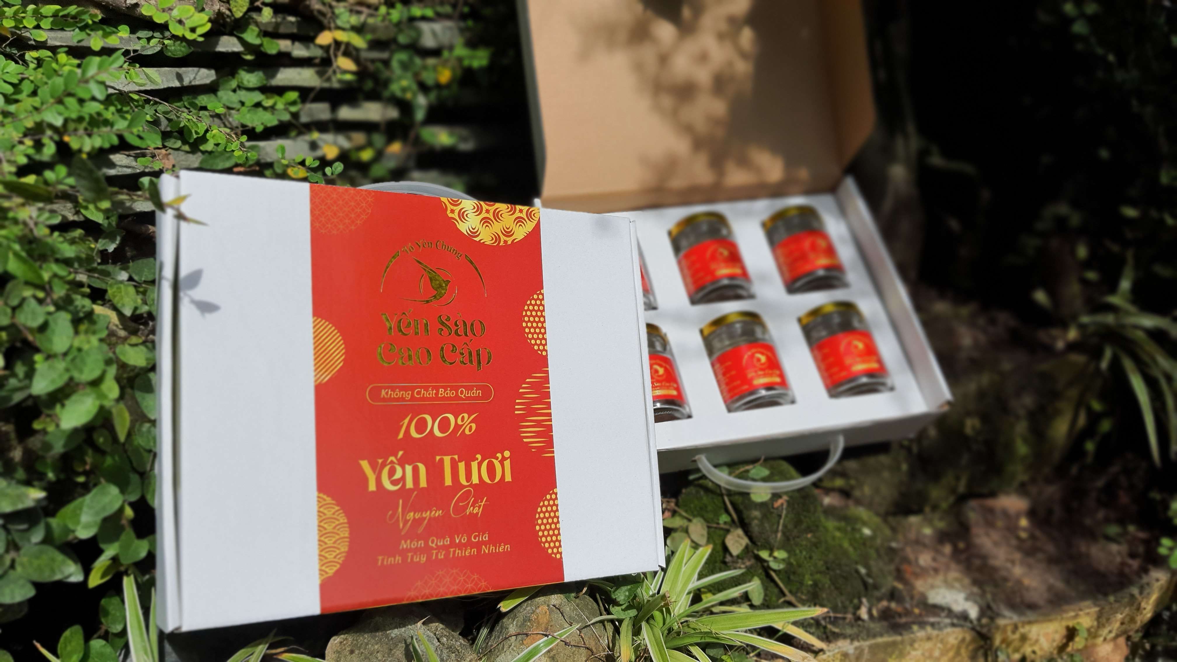 Hộp đựng 6 hủ yến chưng cao cấp