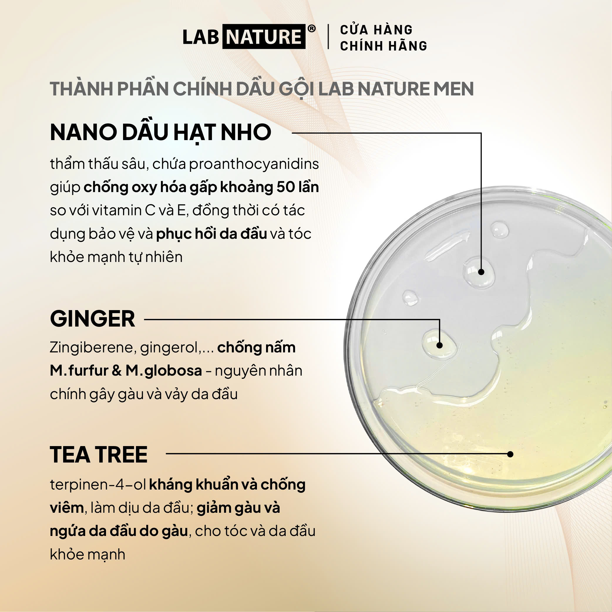 Dầu gội Lab Nature Men Dandruff 470g - Công nghệ Nano Sạch Gàu 2 Lần