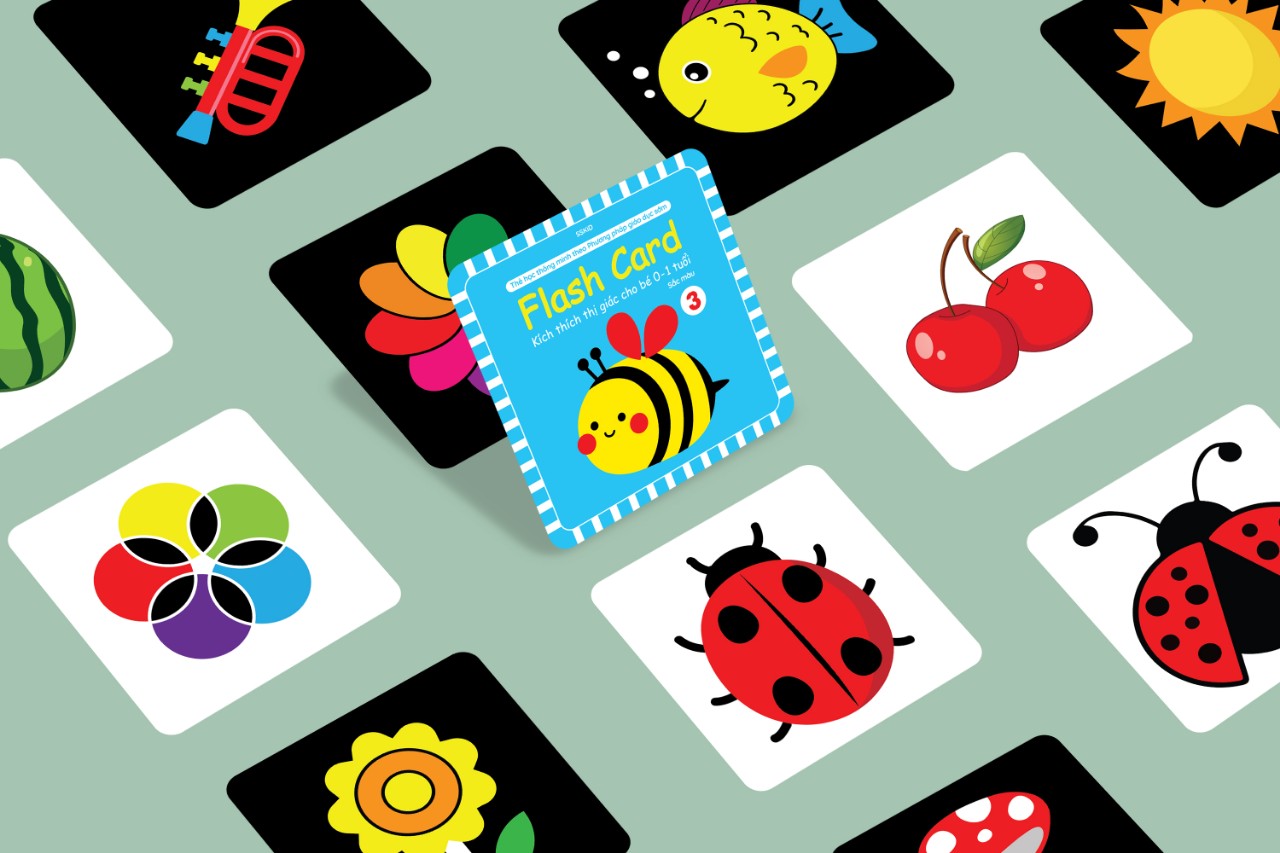 Flashcard Kích Thích Thị Giác (Dành Cho Trẻ Từ 0 Đến 1 Tuổi +) 4 Chủ Đề - KT 21x21 cm - 80 Thẻ