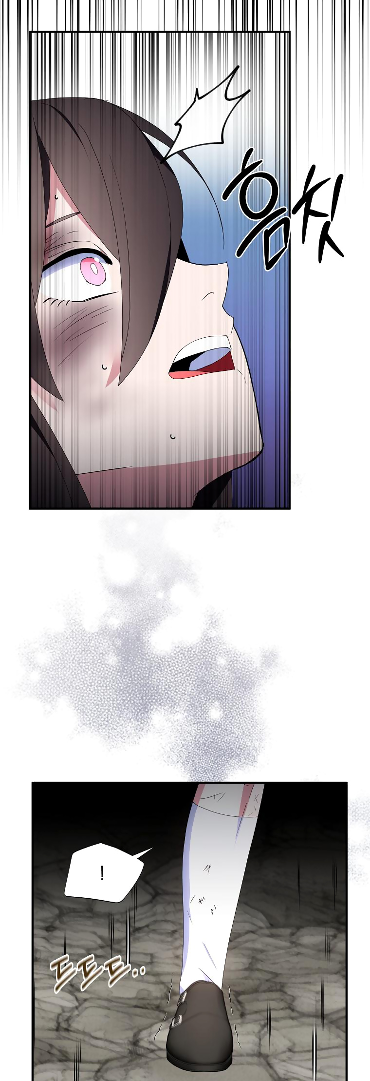 tôi sẽ cố gắng bảo vệ em gái chapter 63.1 43