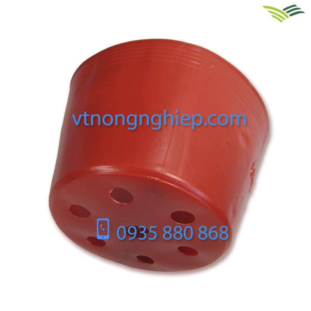 50 Chậu nhựa trồng hoa C10 màu đỏ