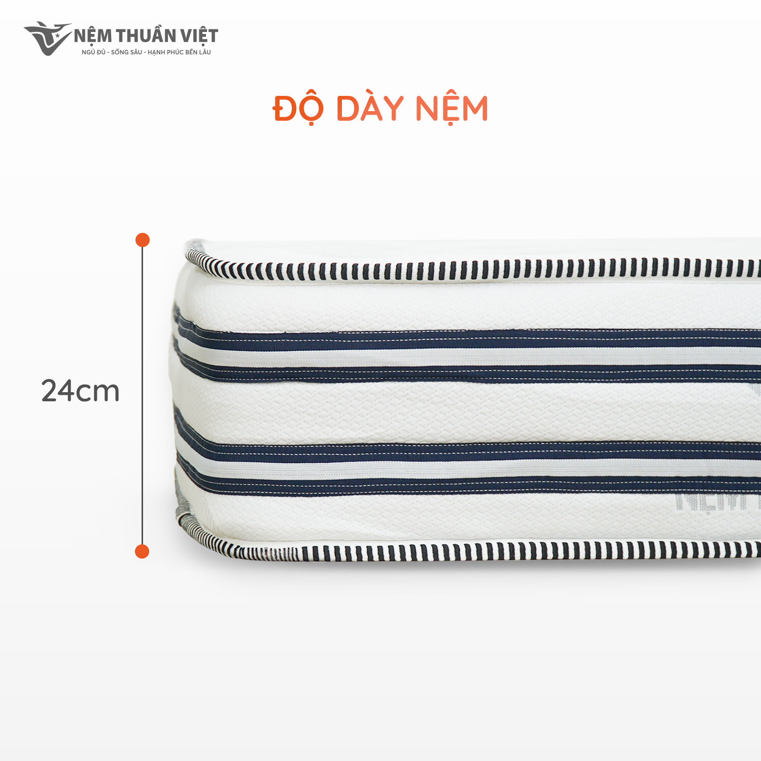 Nệm Lò Xo Thuần Việt Elite 22cm - Túi Lò Xo Độc Lập Giảm Tiếng Ồn, Gấp 3 Êm Ái &amp; Thoáng Khí - Cuộn Hút Chân Không Tiện Lợi, Dễ Dàng Vận Chuyển