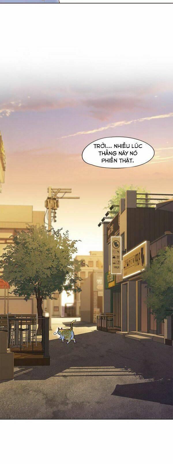 biến thân thành mèo chapter 13 7