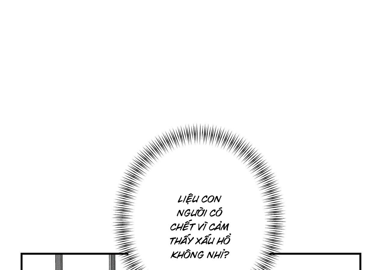 chàng giao pizza và gold palace chapter 41 183