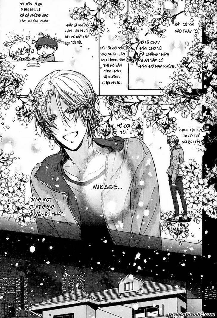 kyoudai no rule chapter 2 8