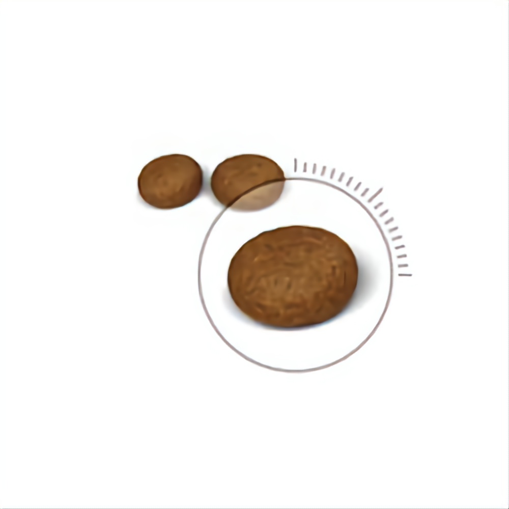 ROYAL CANIN CHĂM SÓC DA VÀ LÔNG-HAIR & SKIN DRY CAT FOOD