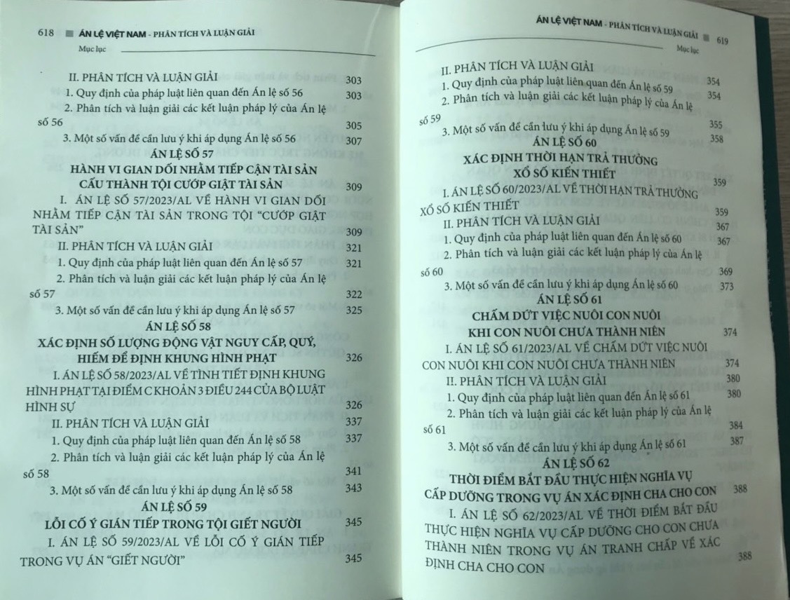 Án lệ Việt Nam - Phân tích và luận giải (tập 1 và 2)