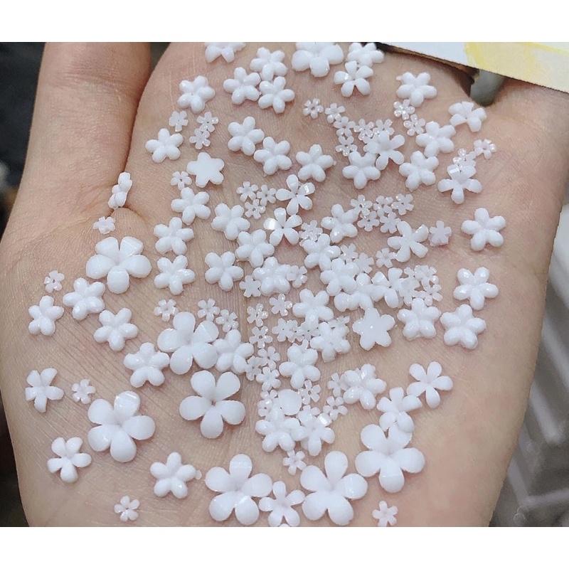 Hoa nhí trắng gắn móng tay, hoa nhựa