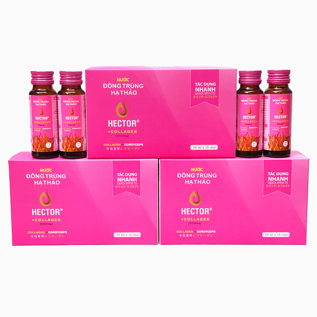 Combo 3 hộp thực phẩm chức năng đông trùng hạ thảo hector collagen và hộp quà đi kèm sang trọng, chắc chắn phù hợp cho tặng quà, đem biếu dịp lễ, dịp Tết, dịp đặc biệt.