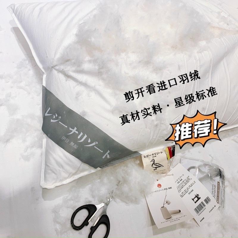 Ruột Gối Lông vũ Kháng Khuẩn Japan