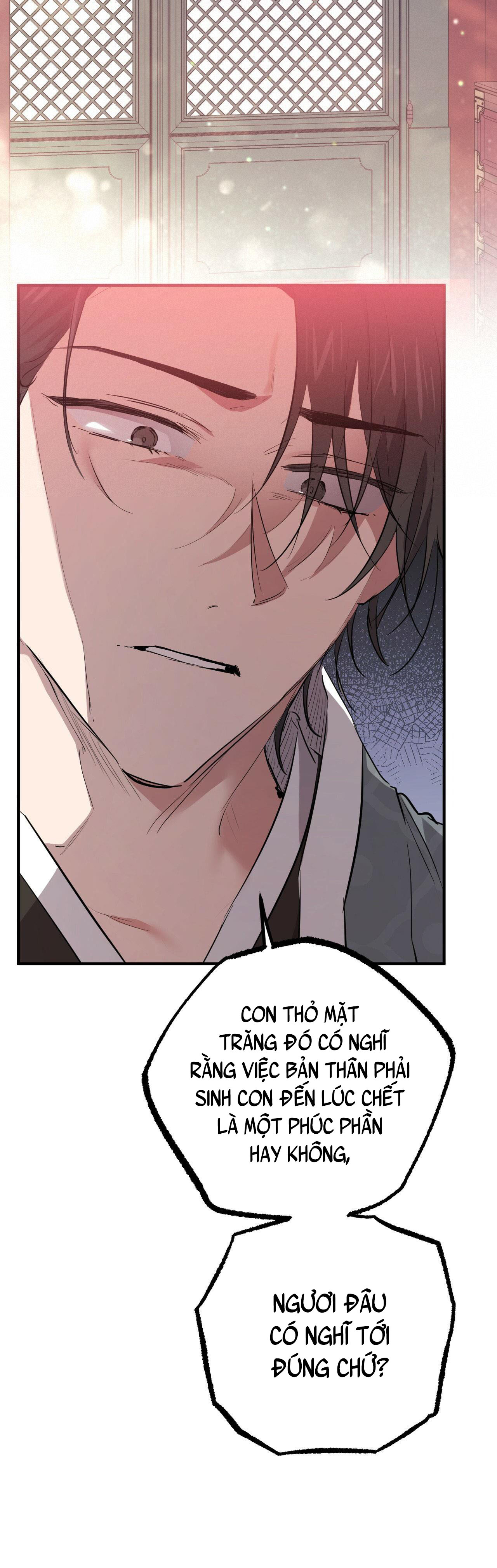 những chú thỏ của hapypy chapter 21 46