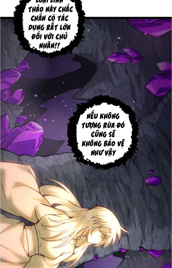 từ cây cổ thụ bắt đầu tiến hóa chapter 25 17