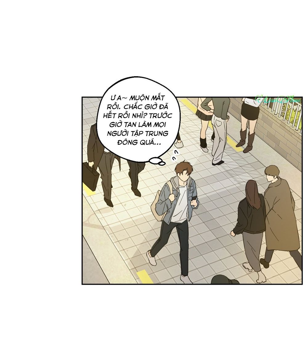 hãy bảo vệ tình yêu thuần khiết! chapter 1 33