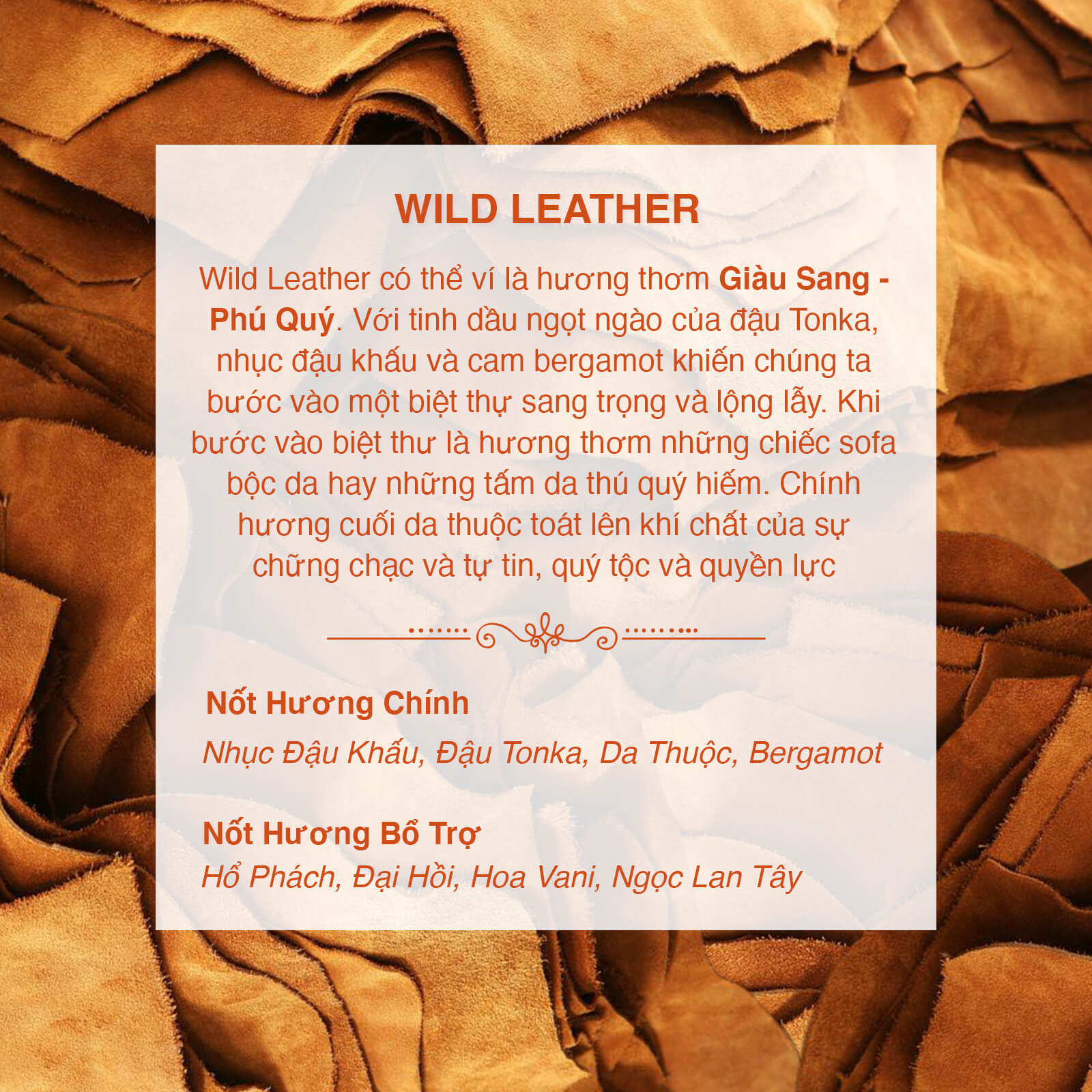 Tinh Dầu Thơm Nomad Premium Fragrance Oil - Wild Leather