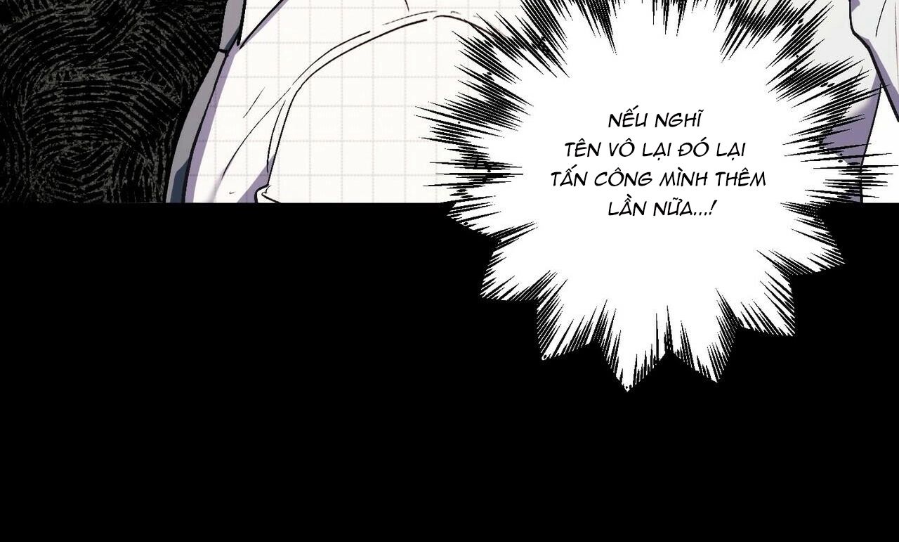 chàng dâu nhà họ kang chapter 20 65