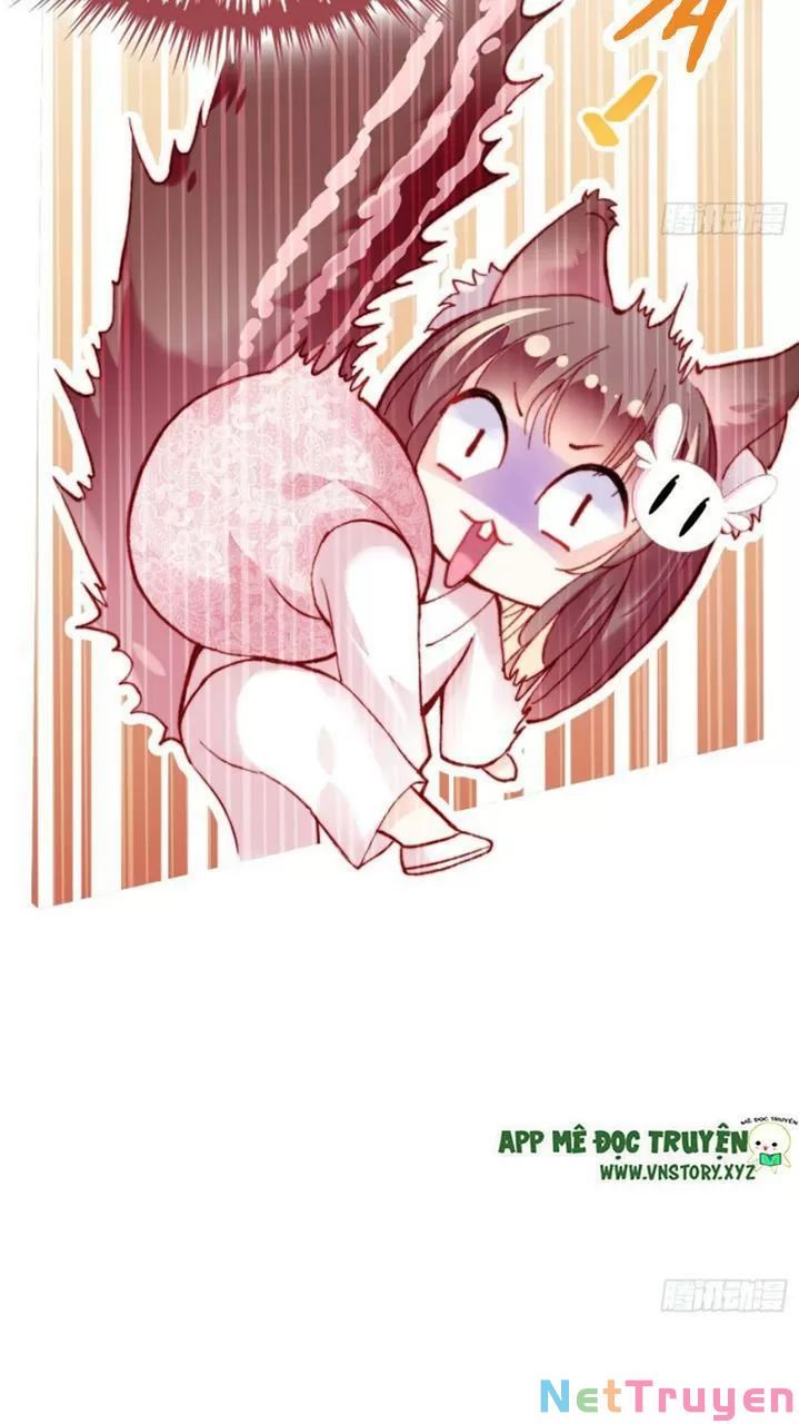 lại bị bệnh chiều chuộng quấn lấy chapter 27 49