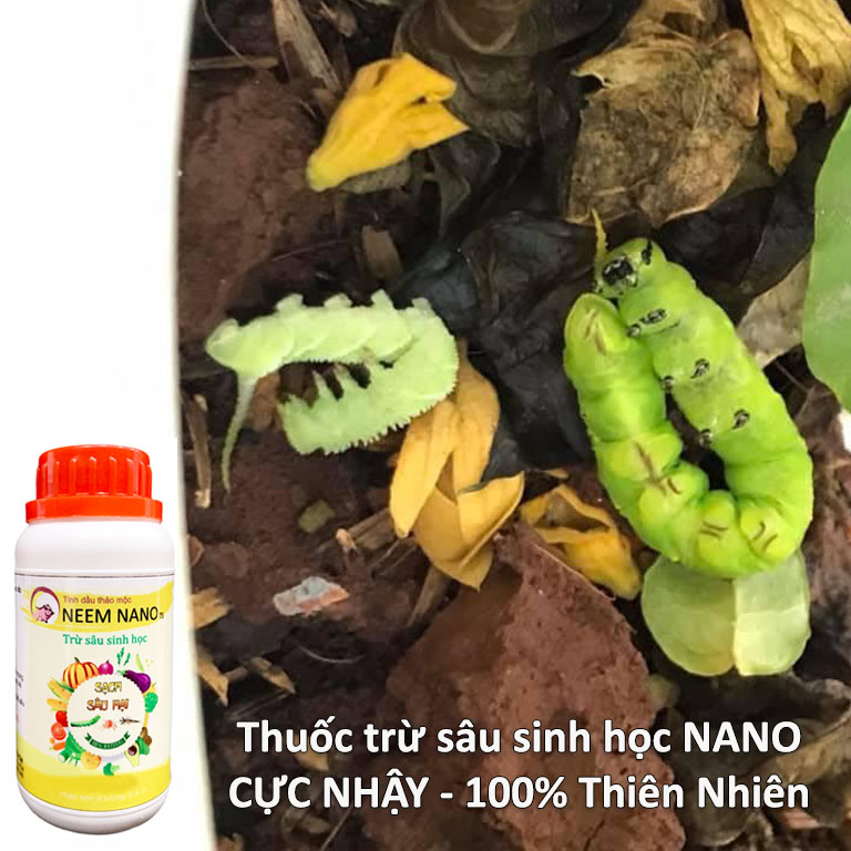 Combo Thuốc Sinh Học NEEM NANO Trừ Sâu, Trừ Nấm (Nhện, Trĩ, Bọ Nhảy/Đốm Đen, Thối Nhũn, Phấn Trắng..) Dùng Cho Rau Sạch, Hoa Hồng, Cây Cảnh Hiệu Quả Cao, An Toàn, Chai 250ml/chai / Chăm sóc cây trồng Hồng Thanh Garden