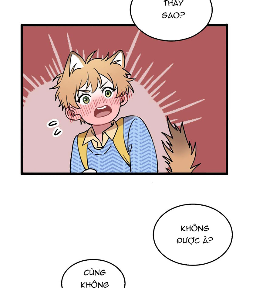 rốt cuộc bé mèo đang nghĩ gì ? chapter 12 28