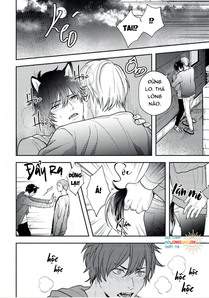 mật ngọt dã thú chapter 1 25