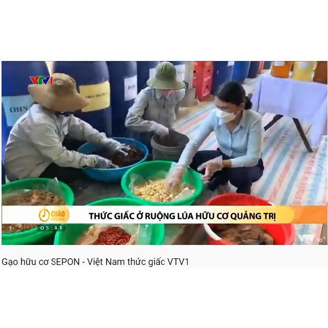 Gạo VIETGAP SEPON - Giống ST25- Gạo ngon nhất thế giới . 5kg