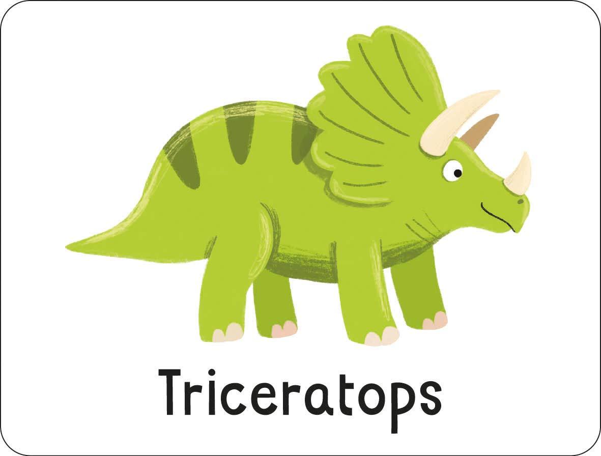 Sách ngoại văn: Lots To Spot Flashcards - Dinosaurs!