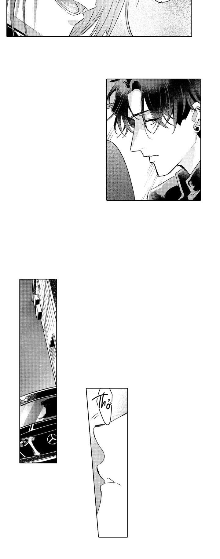 hiyoko-chan to harinezumi-kun chapter 8 6