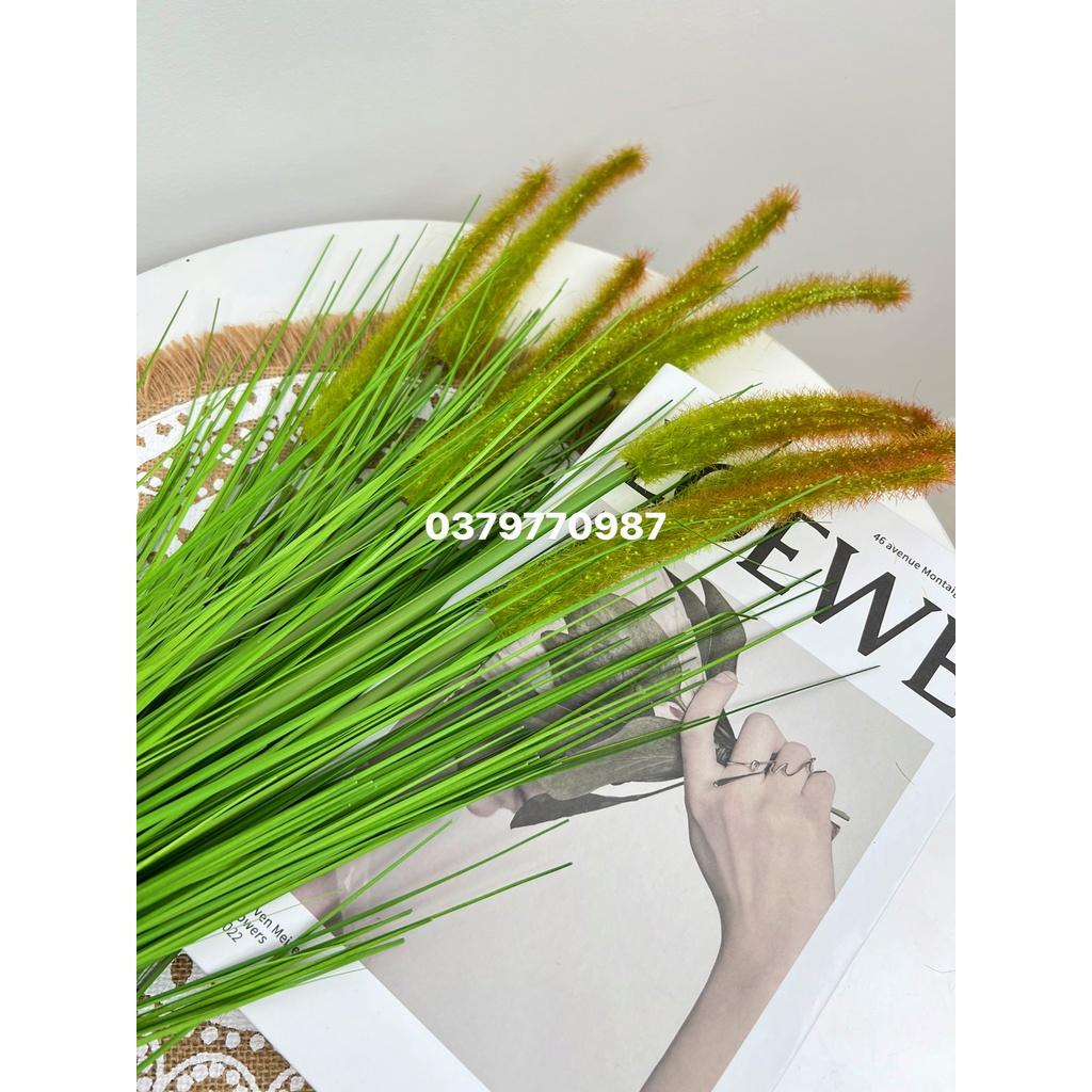 Bông lau decor cao cấp