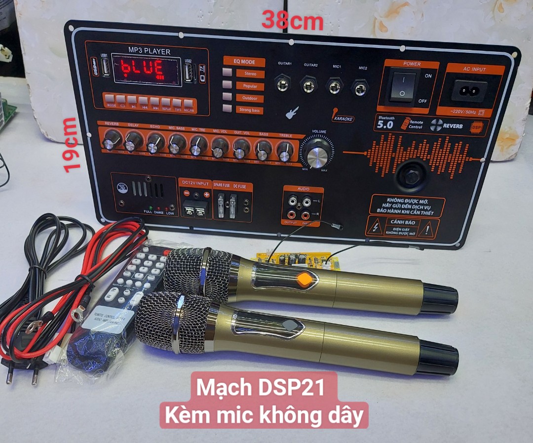 Mạch Loa Kéo 4 tấc đôi DSP21 + Mic Không dây Màn Hình Xanh