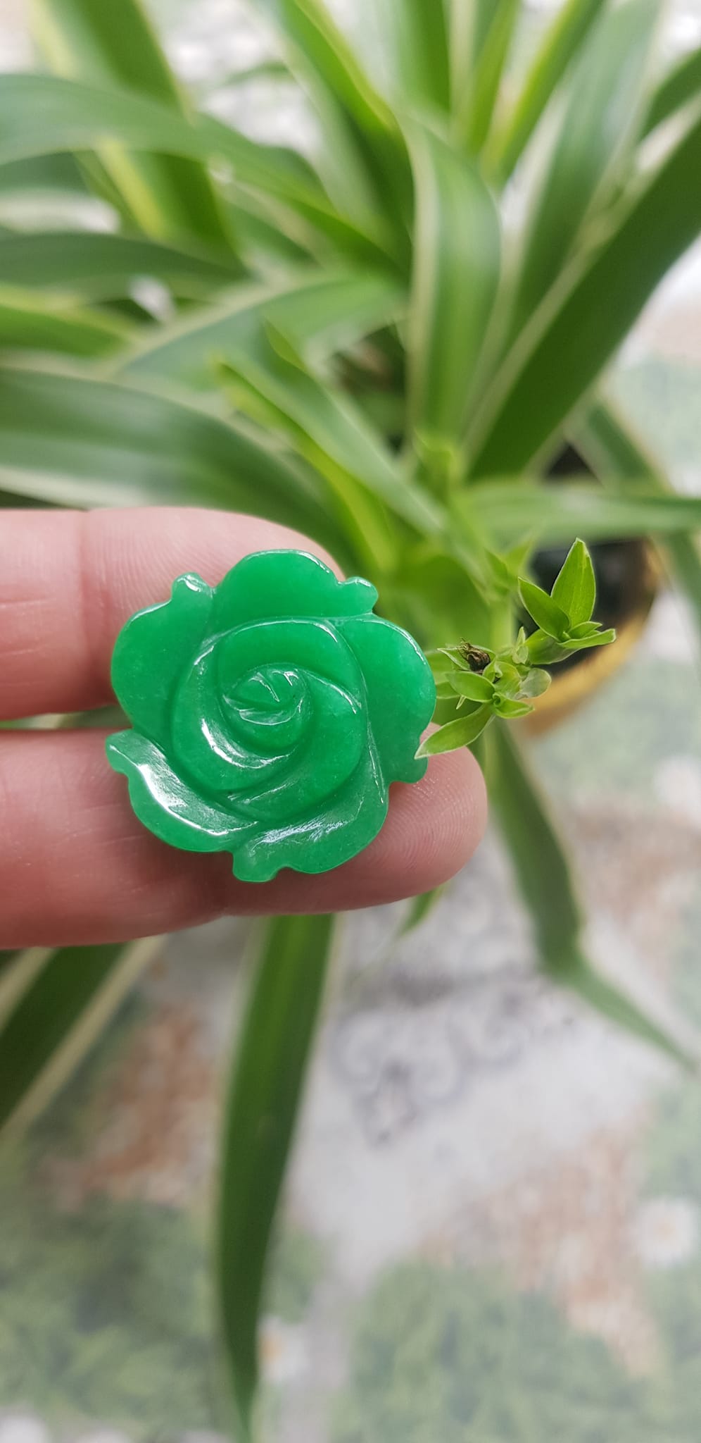 Mặt dây chuyền nữ Bông Hồng Xanh Ngọc to size 25mm x dầy 4mm Chất liệu đá cẩm thạch Xanh ngọc tươi đẹp xinh Nữ mệnh mộc mệnh hoả và mệnh thuỷ Nữ về bọc vàng lên đeo đẹp như công chúa rẻ mà đẹp ạ