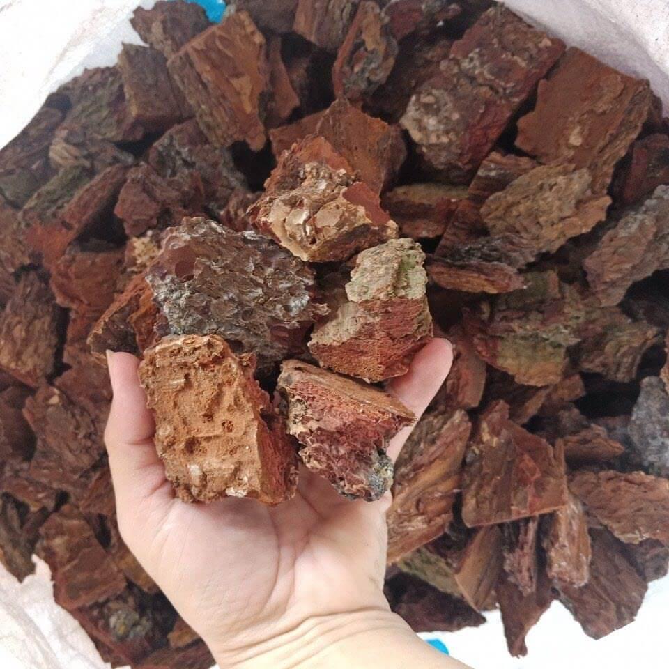Vỏ thông băm 3-4cm