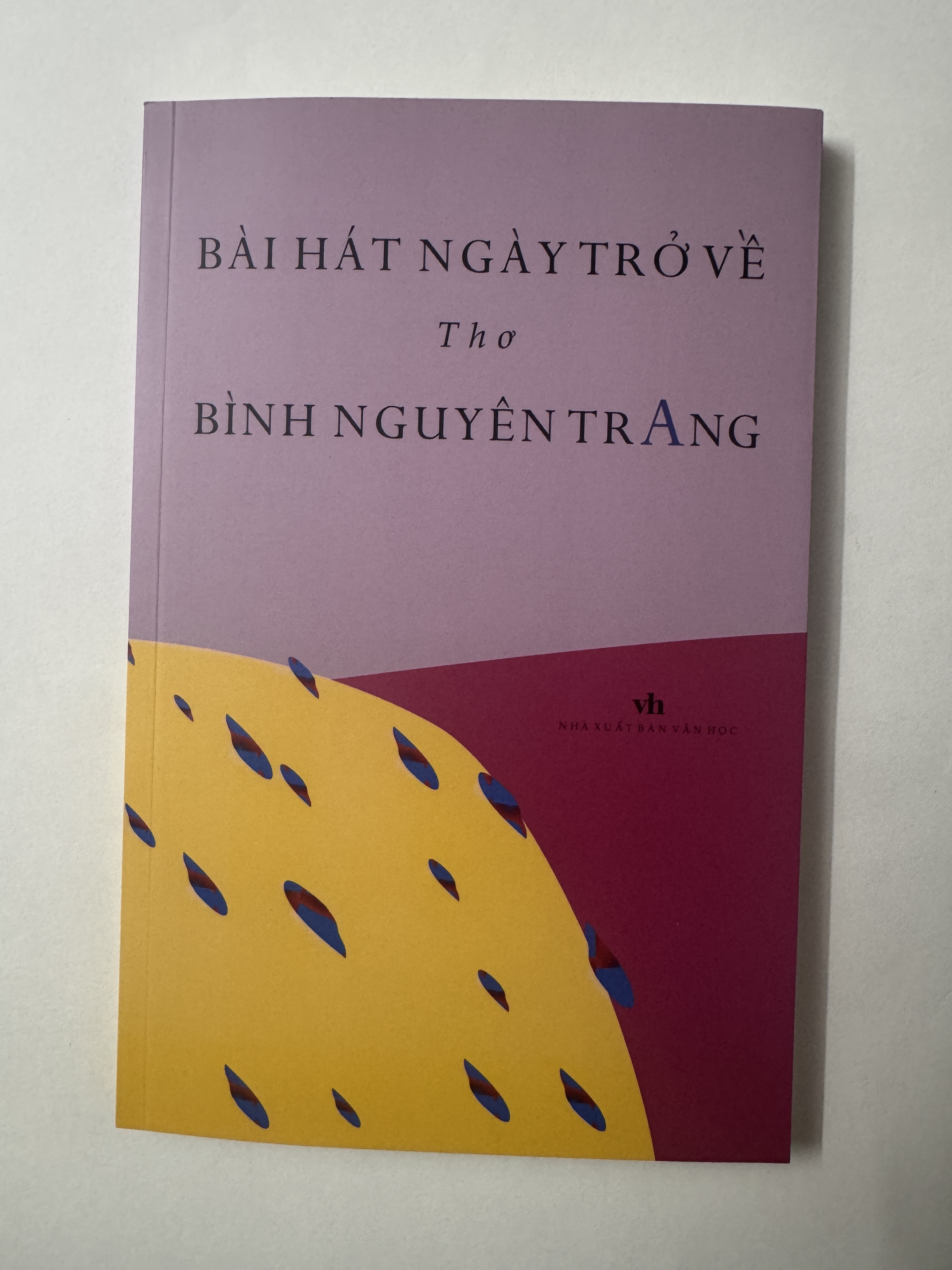 Sách - Bài hát ngày trở về - Thơ Bình Nguyên Trang