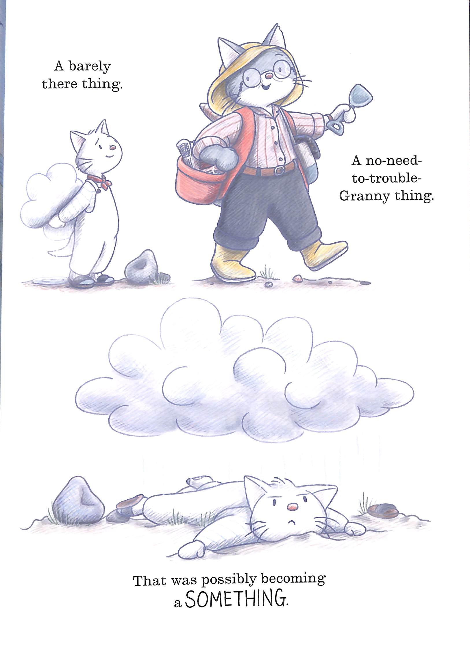 Sách ngoại văn: Storm-Cat