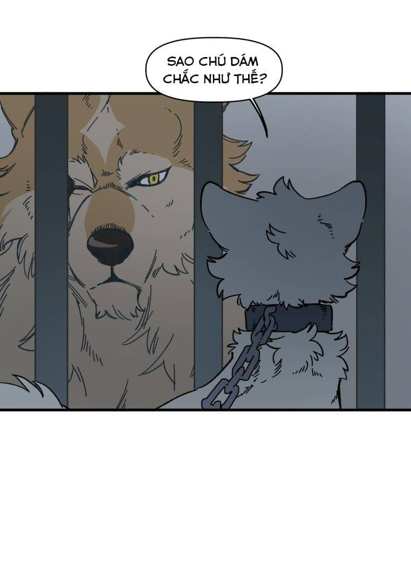 lumine - cội nguồn ánh sáng chapter 140 14