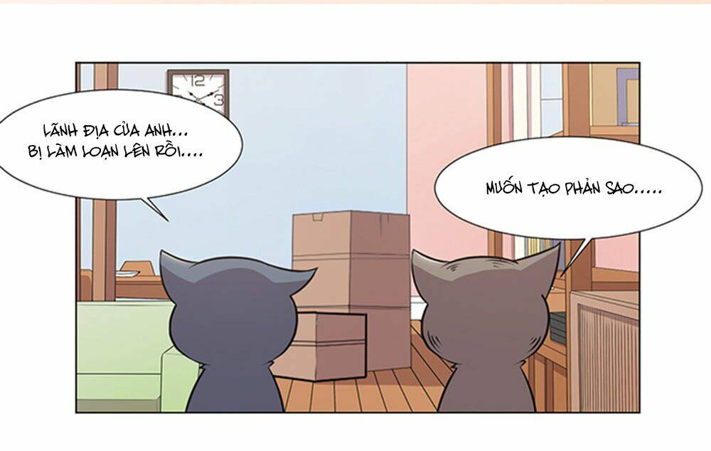 hai chú mèo totem chapter 39 43