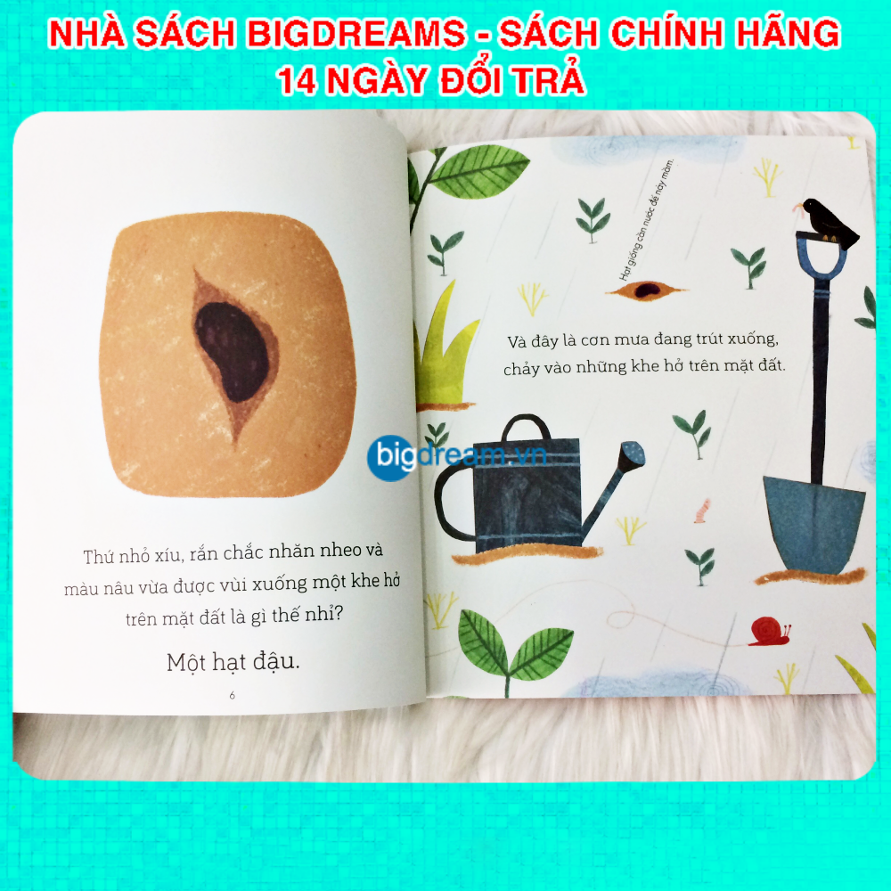 Câu chuyện khoa học A Science Storybook Bộ 4 quyển Truyện kể cho bé trước giờ đi ngủ phát triển tư duy