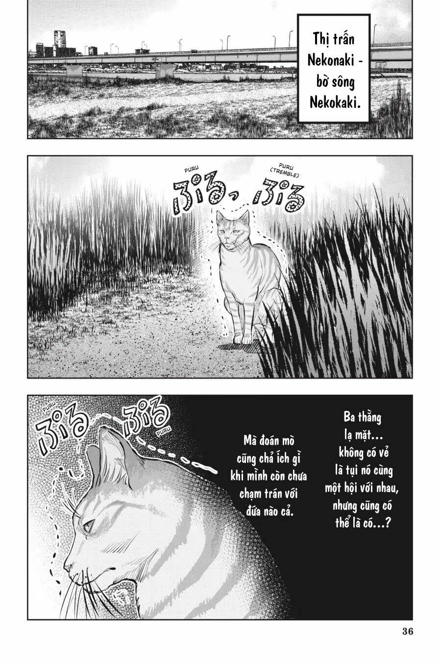 nyankees chapter 12 39