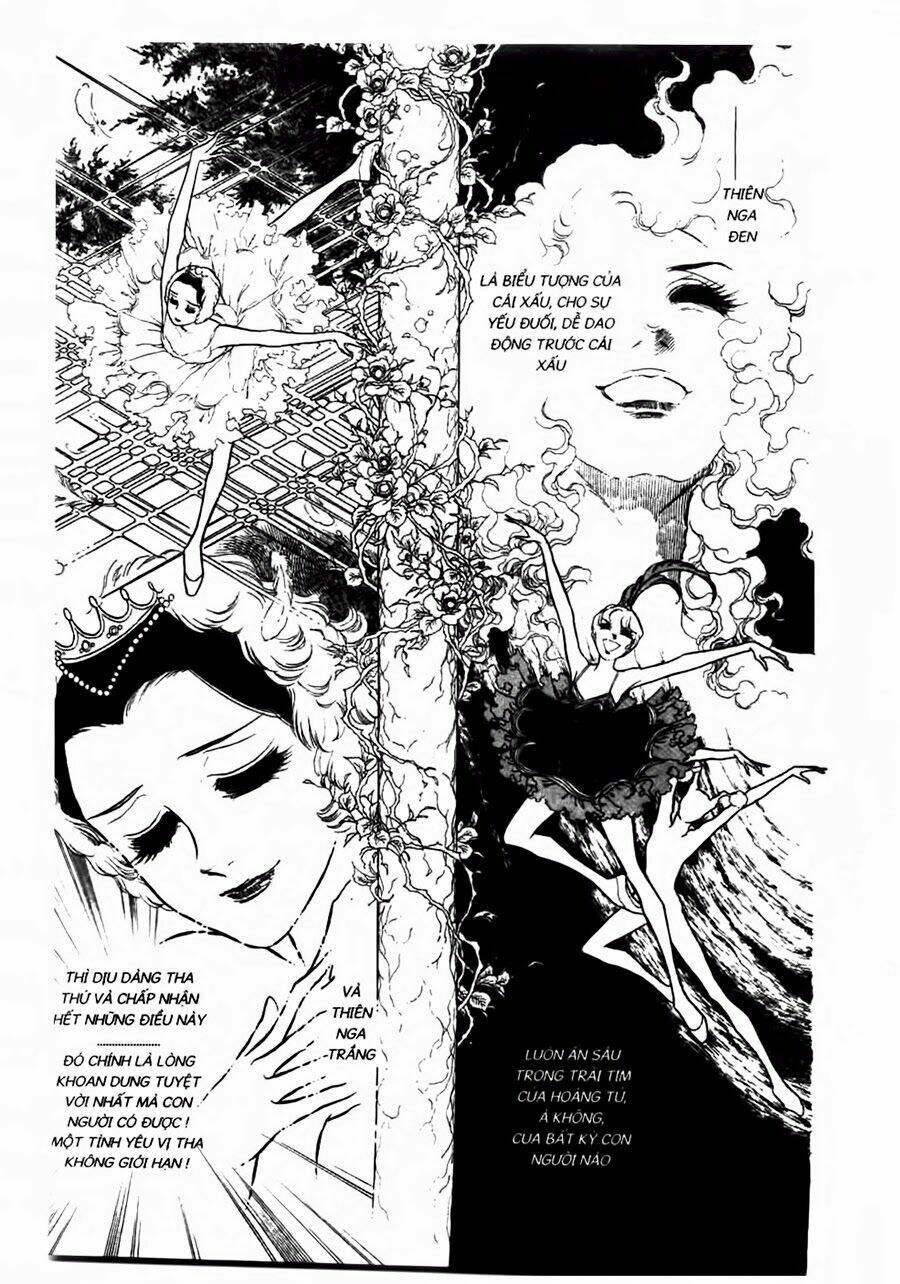 swan - vũ khúc thiên nga chapter 47 12