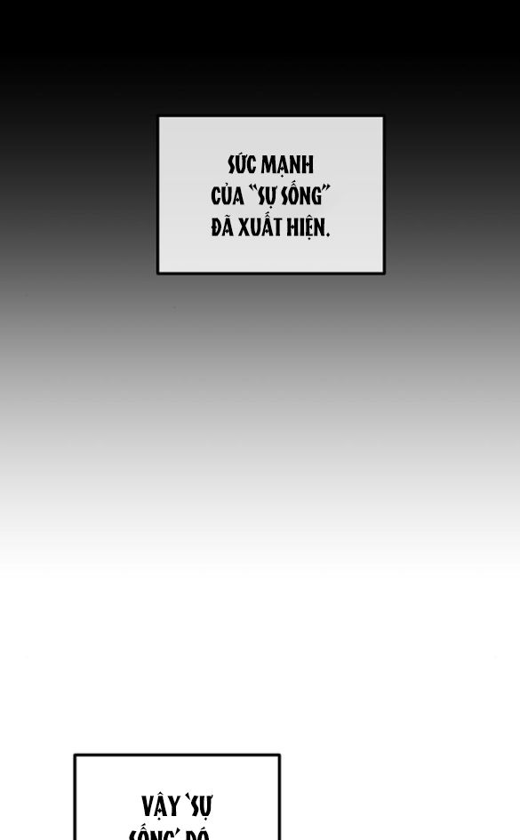 ai đã bắt cóc hoàng hậu? chapter 3.1 19