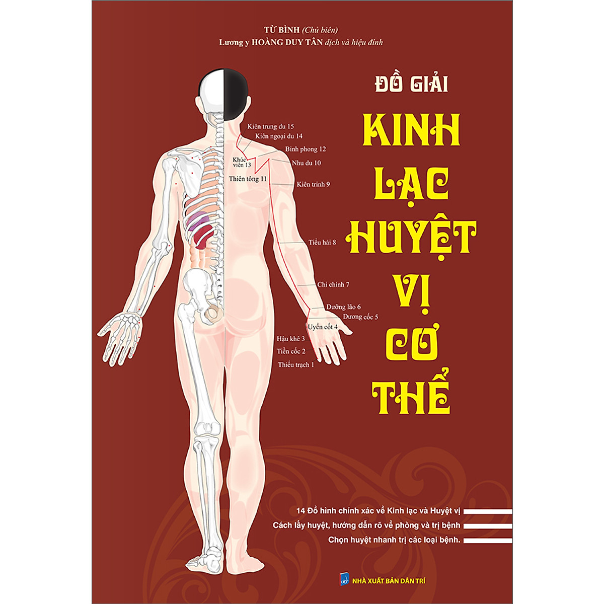 Sách Combo Đồ Giải Kinh Lạc Huyệt Vị Cơ Thể / Đồ giải Kinh Lạc Huyệt Vị Nam giới