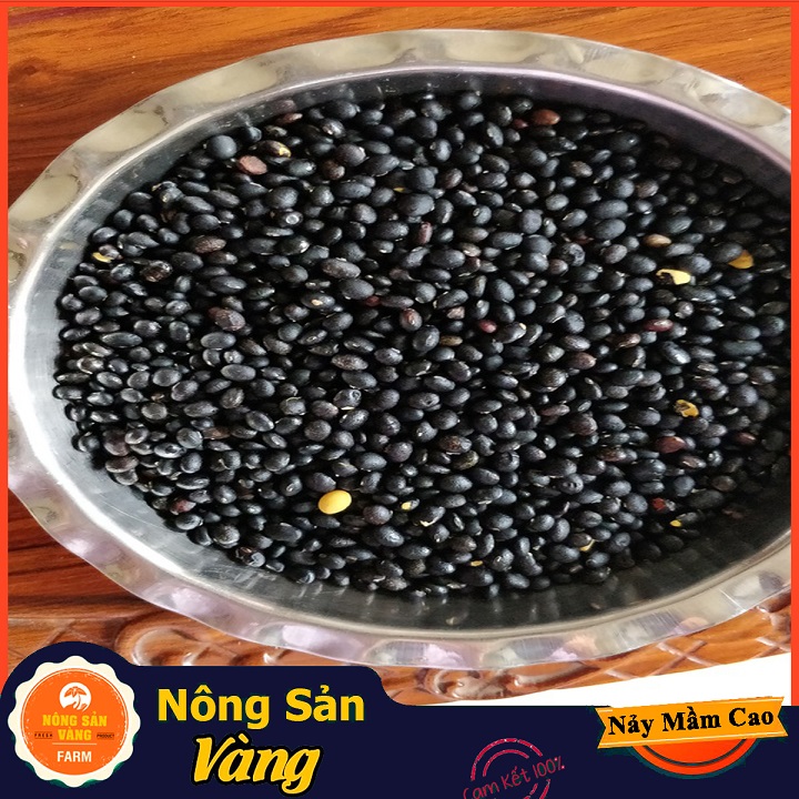 Hạt giống Đậu Cove Hạt Đen Dễ Trồng ( Gói 20 Gram ) - Nông Sản Vàng